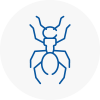 Ant Removals In Portland