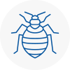 Bed Bug Extermination In Portland