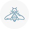 Bee Nest Removal Portland