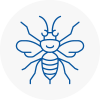 Portland Hornet Nest Removals