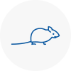 Mice Exterminators In Portland