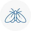 Moth Control Specialists In Portland
