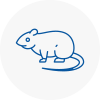 Rat Control Portland