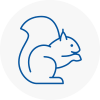 Portland Rodent Removals
