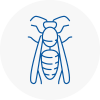 Portland Wasp Nest Removal
